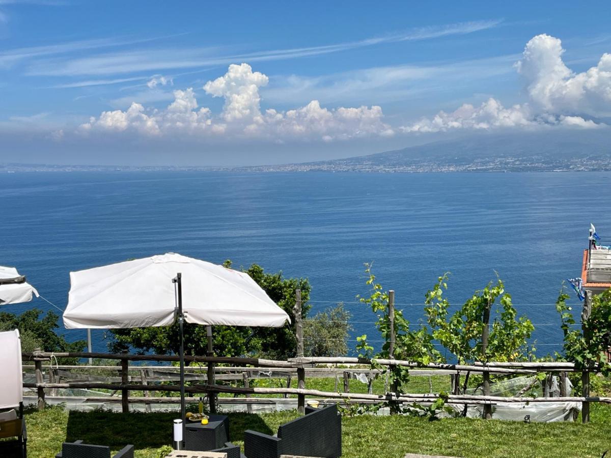La Badia Montechiaro - Breathtaking View Of Sorrento Coast Villa Vico Equense Dış mekan fotoğraf